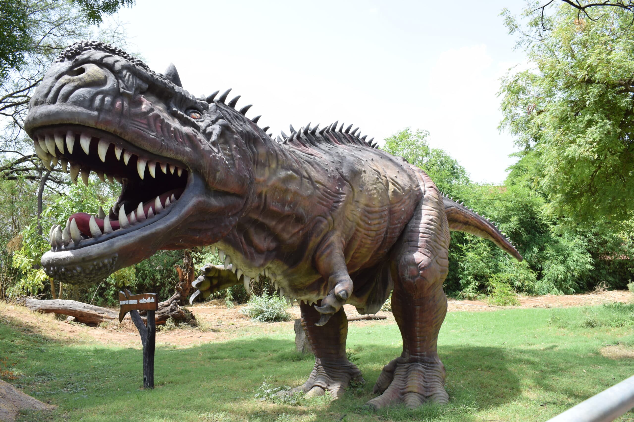 Indroda Dinosaur and Fossil Park Gandhinagar