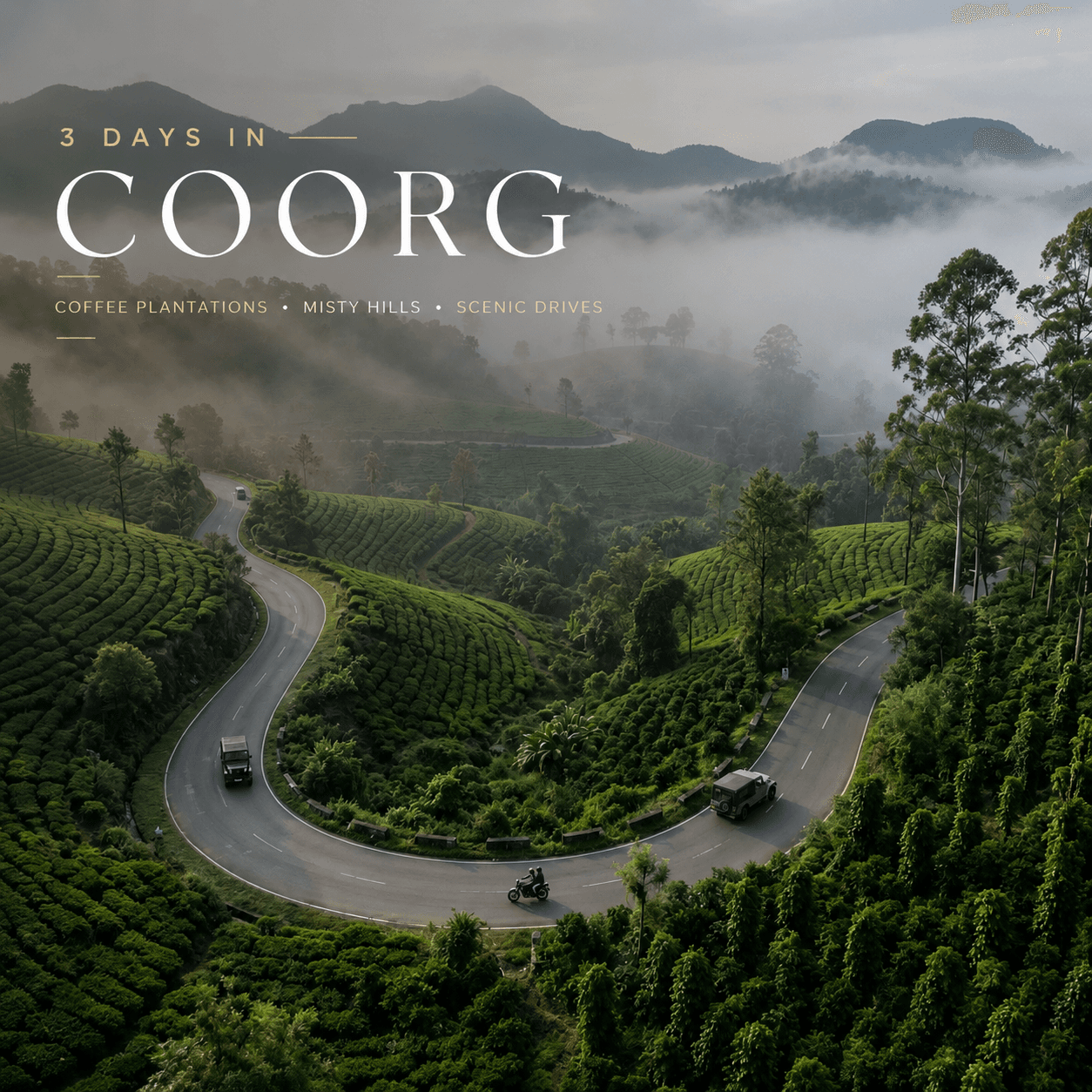 Coorg tea and coffee plantations