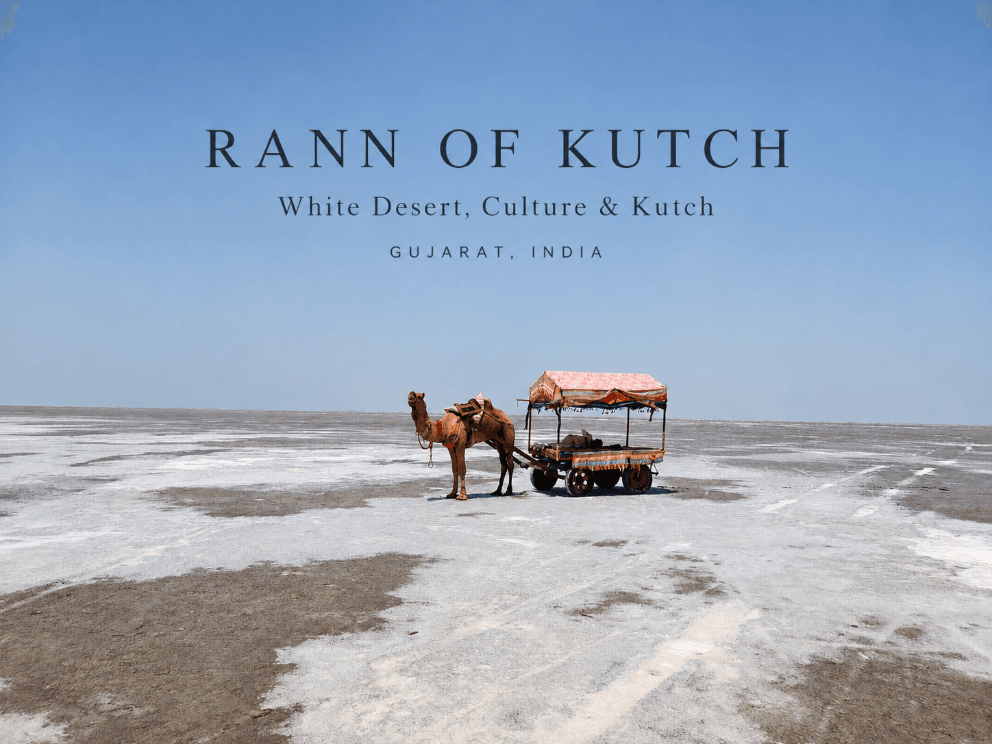 The vast white salt desert of the Great Rann of Kutch in Gujarat